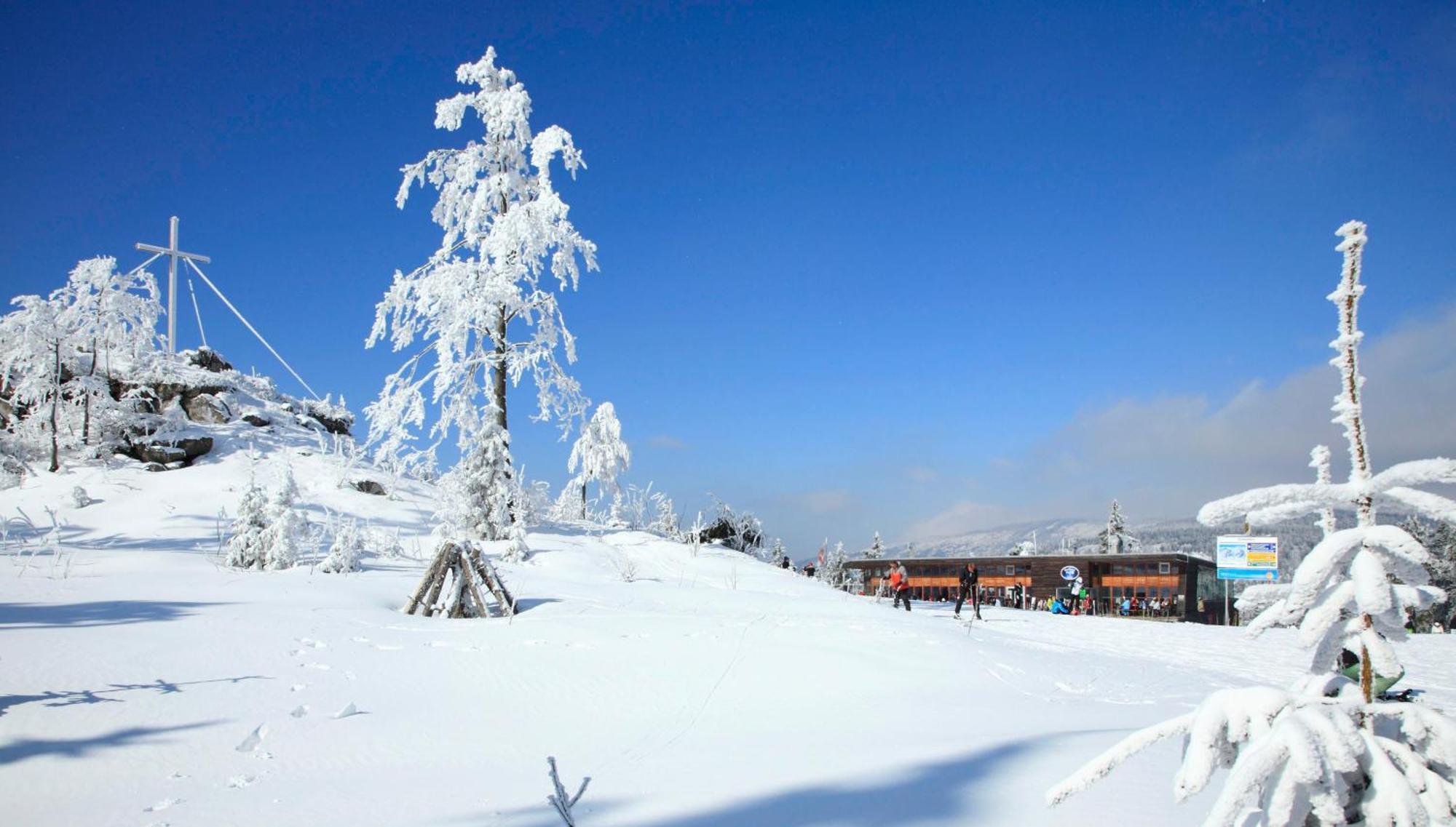 Forsthaus Apartments - Ski + Bike & Hike Клаффер-ам-Хохфихт Экстерьер фото