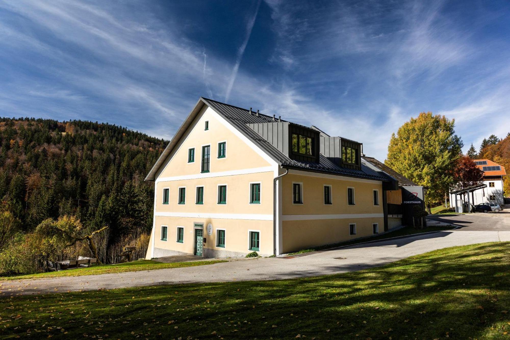 Forsthaus Apartments - Ski + Bike & Hike Клаффер-ам-Хохфихт Экстерьер фото