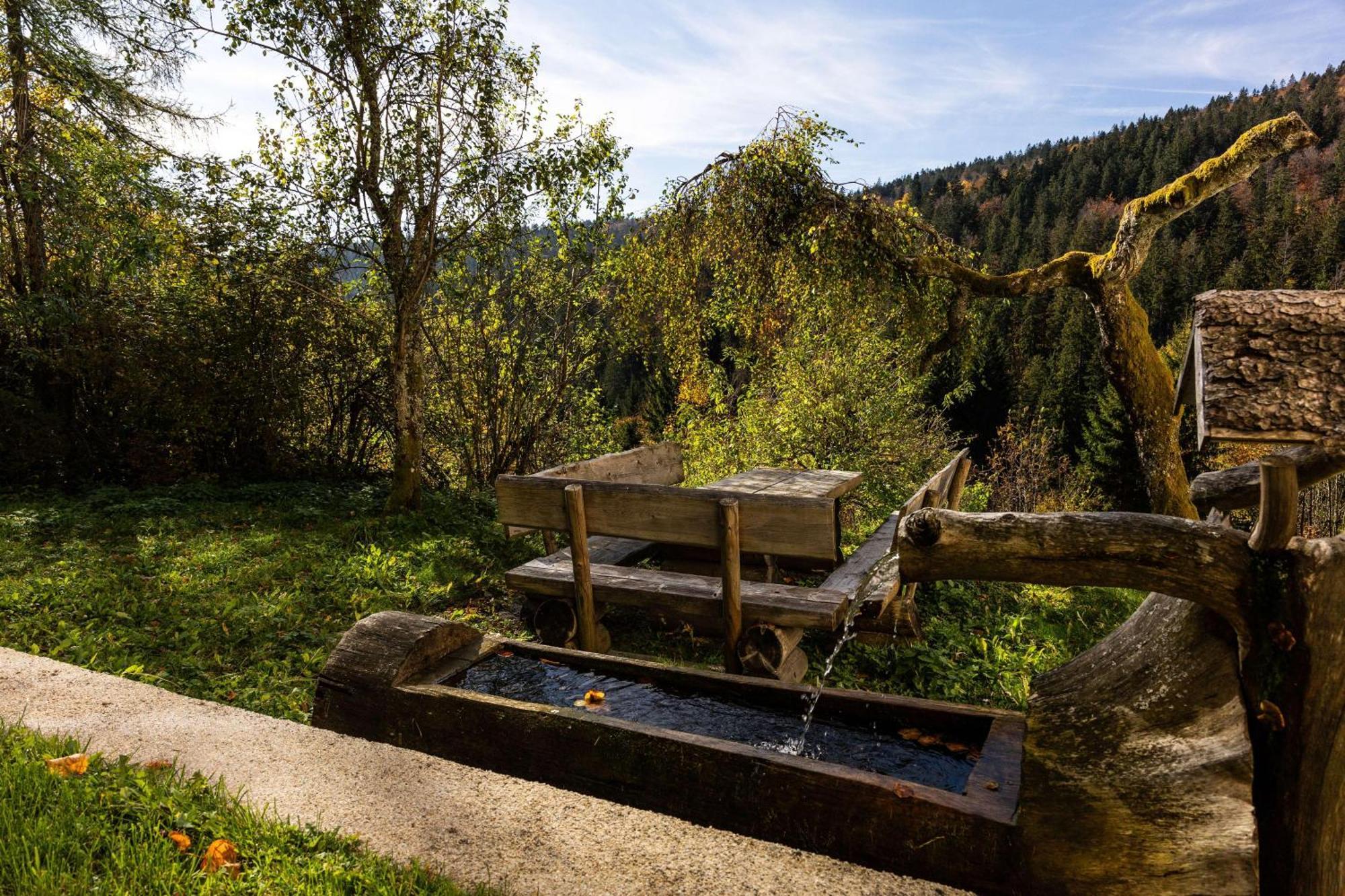 Forsthaus Apartments - Ski + Bike & Hike Клаффер-ам-Хохфихт Экстерьер фото