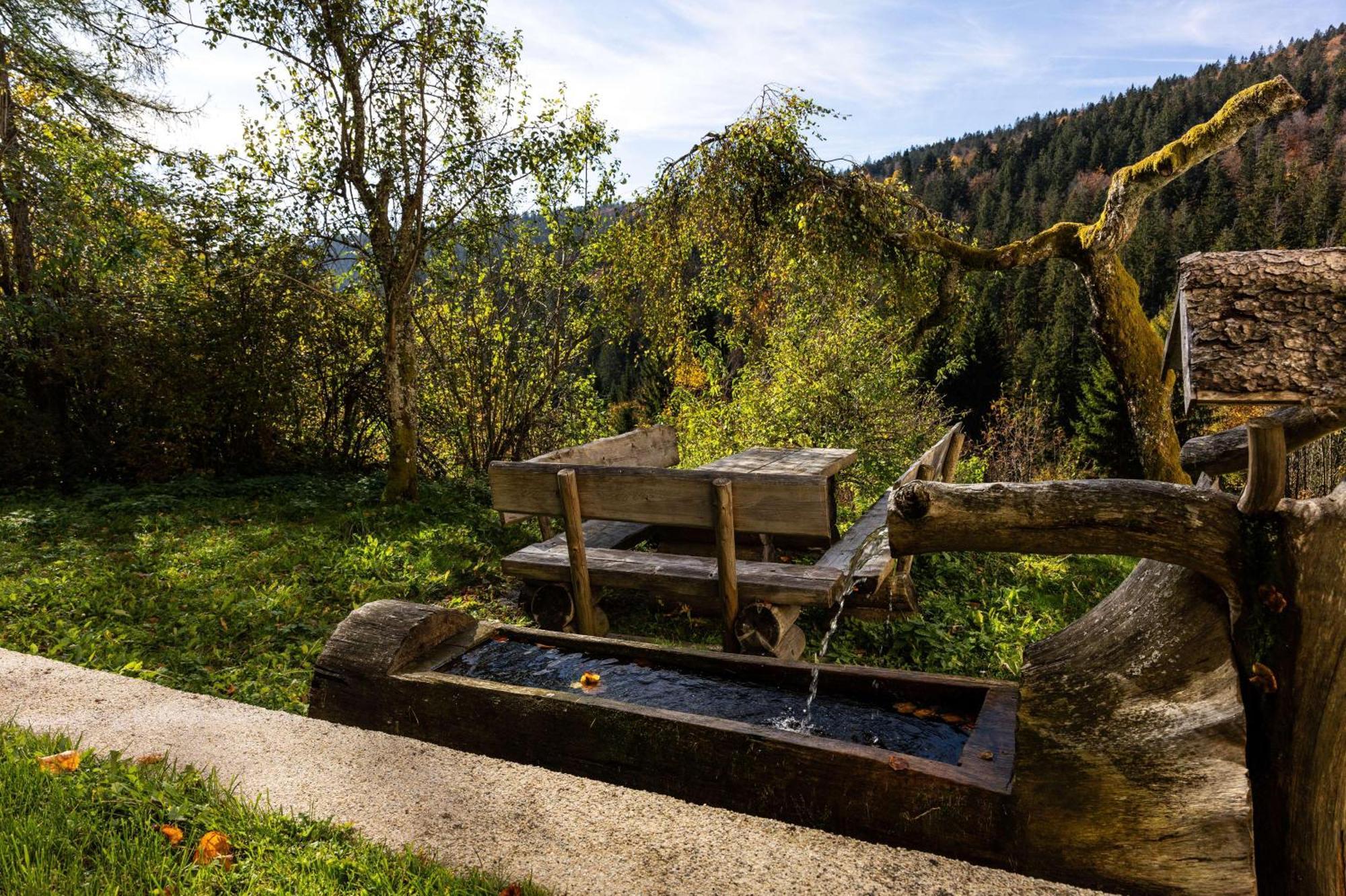 Forsthaus Apartments - Ski + Bike & Hike Клаффер-ам-Хохфихт Экстерьер фото